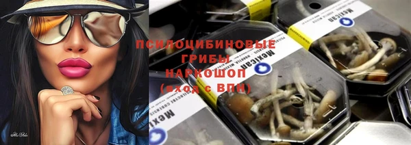 шишки Балахна