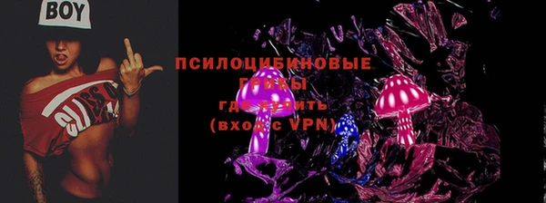прущие грибы Баксан