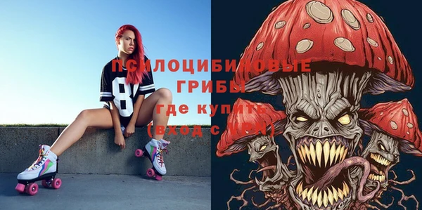 шишки Балахна