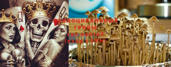 шишки Балахна
