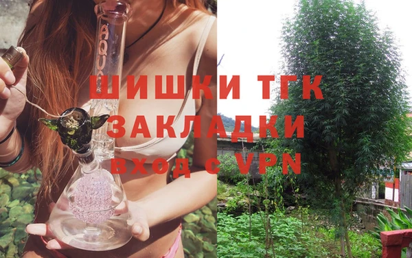 прущие грибы Баксан