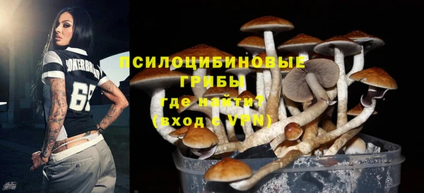 шишки Балахна
