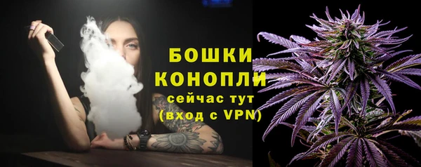шишки Балахна