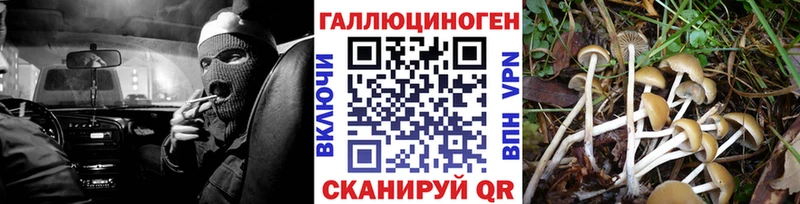 МЕГА ТОР  Усть-Джегута  Галлюциногенные грибы GOLDEN TEACHER 