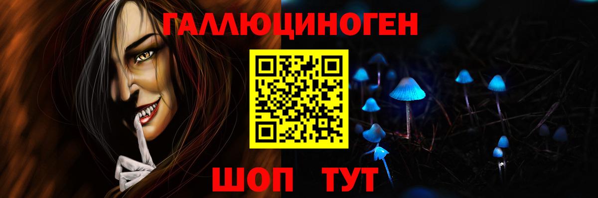 где купить наркотик  Вход с VPN  Усть-Джегута  Псилоцибиновые грибы прущие грибы 